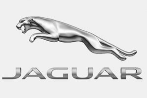 17_jaguar