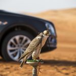 0519_BentleyBentayga-FalconryByMulliner_09