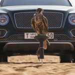 0519_BentleyBentayga-FalconryByMulliner_10