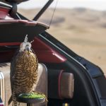 0519_BentleyBentayga-FalconryByMulliner_16