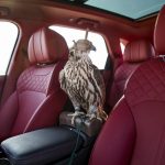 0519_BentleyBentayga-FalconryByMulliner_21
